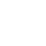 logo fvt