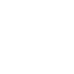 logo oransys